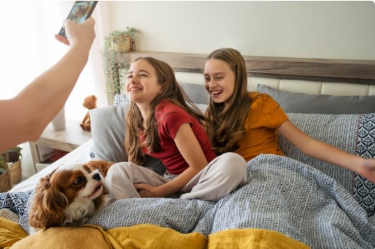 Affordable Dog Food Guide: How to Choose Budget-Friendly Nutrition for Your Dog